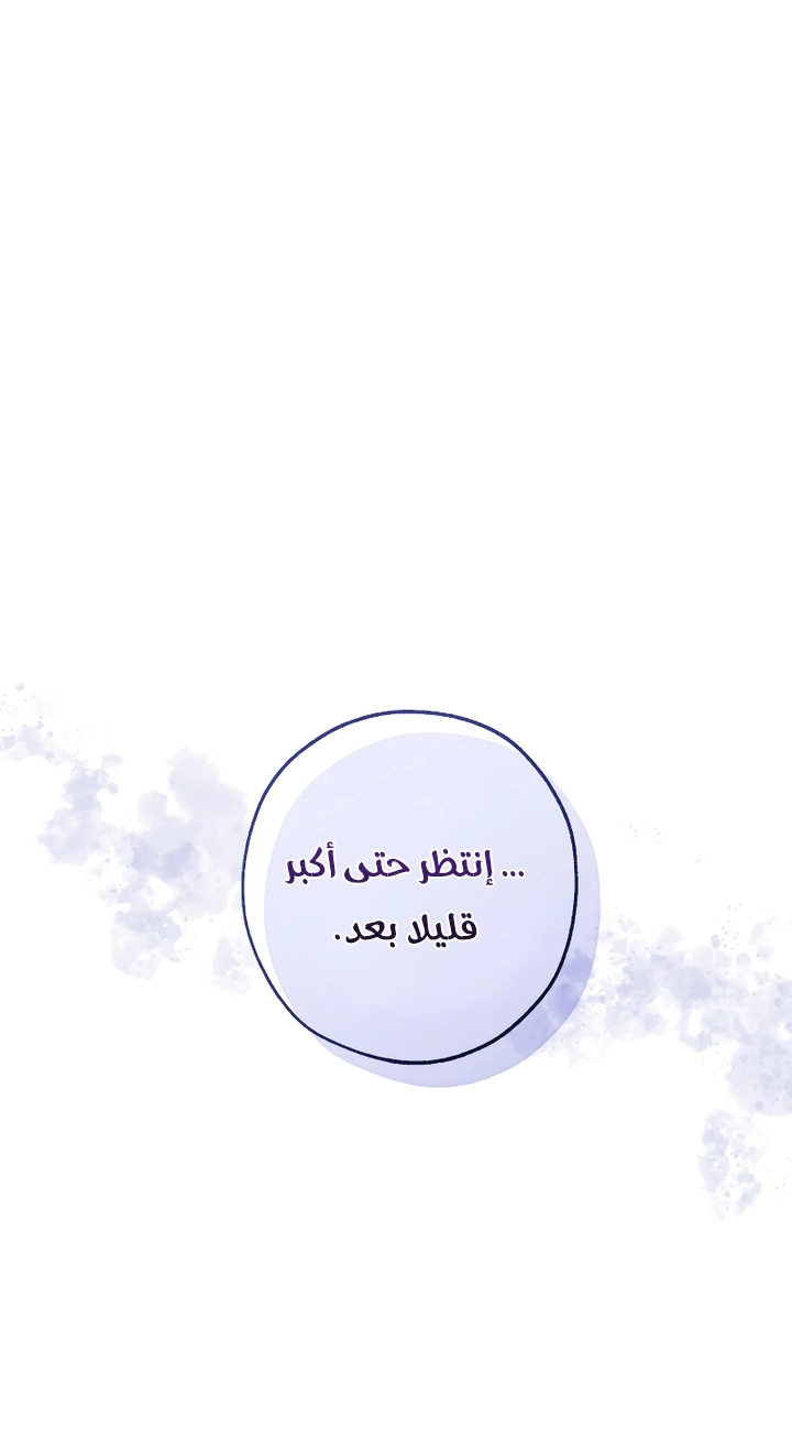 الصفحة 46