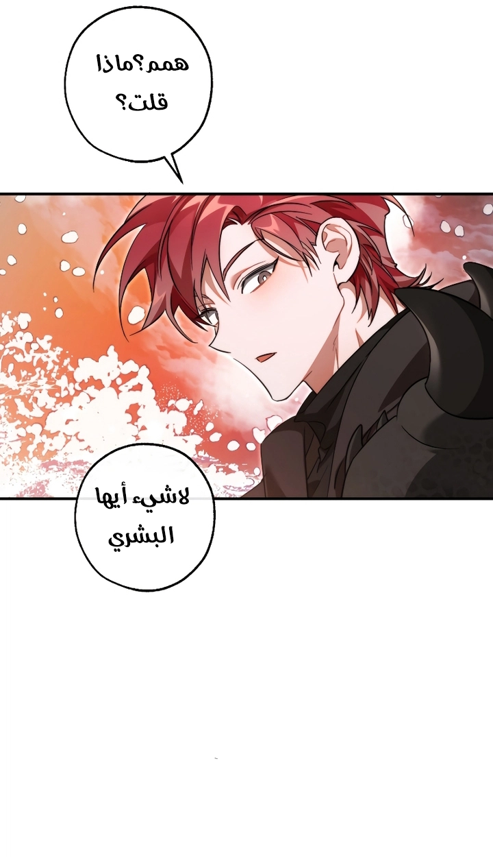 الصفحة 47
