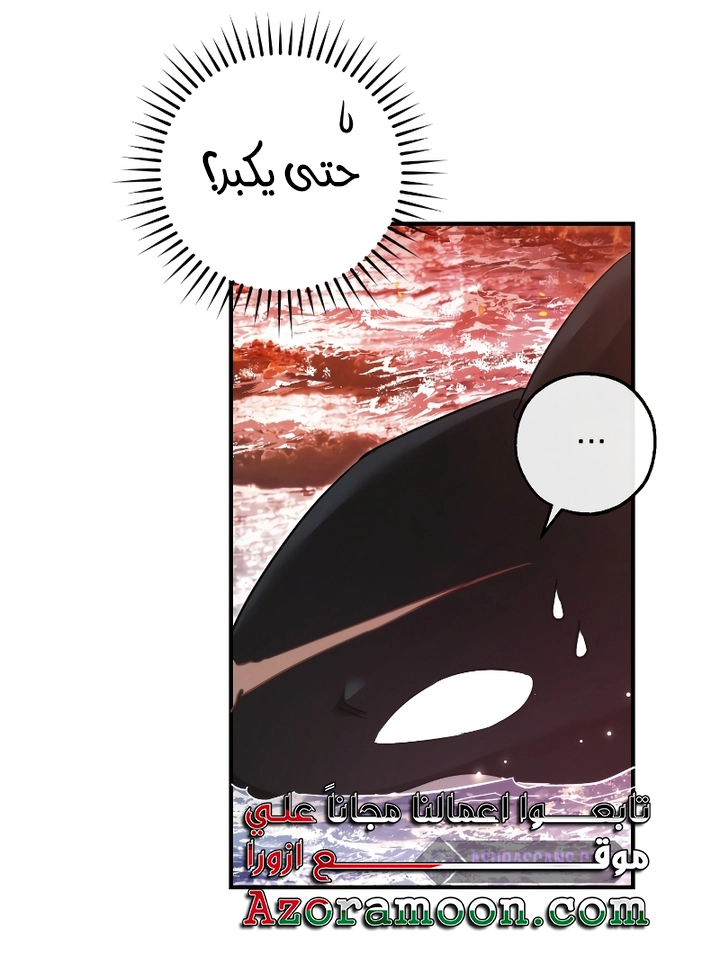 الصفحة 48