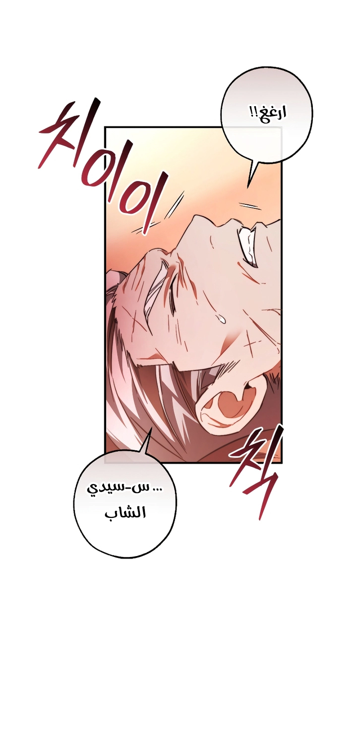 الصفحة 61