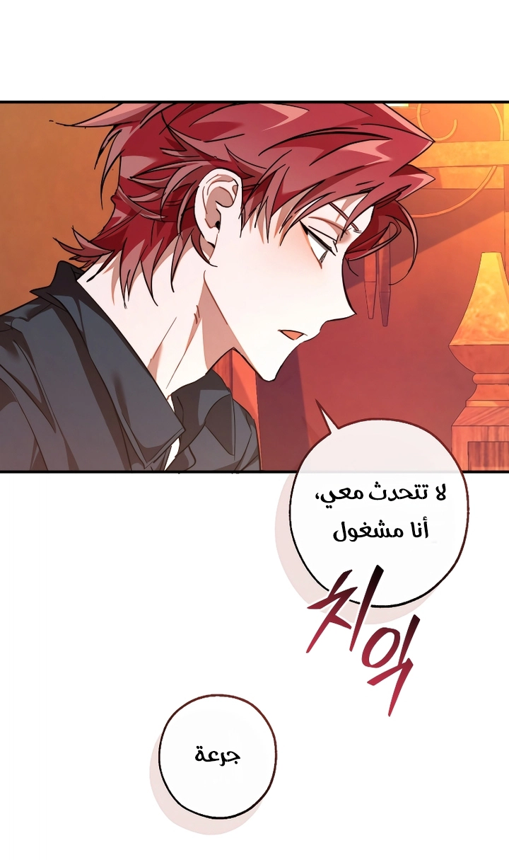 الصفحة 62