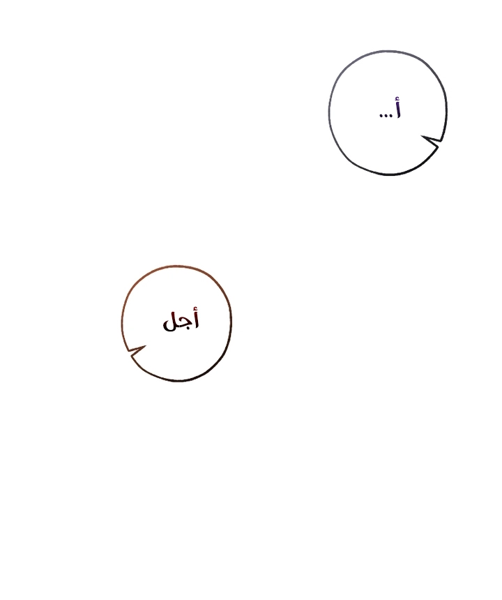 الصفحة 67