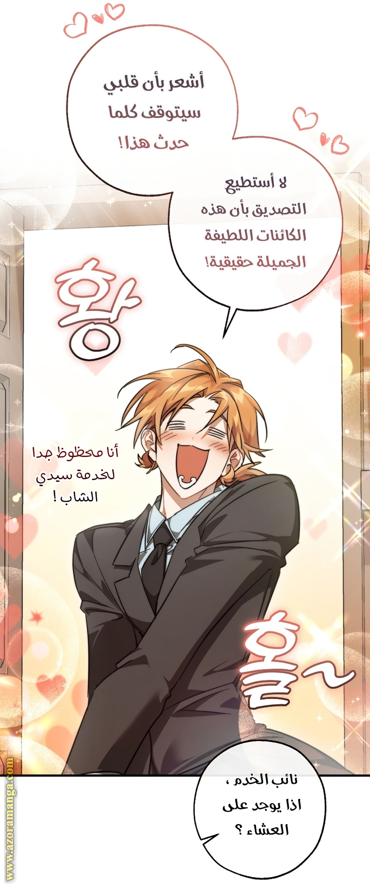 الصفحة 14