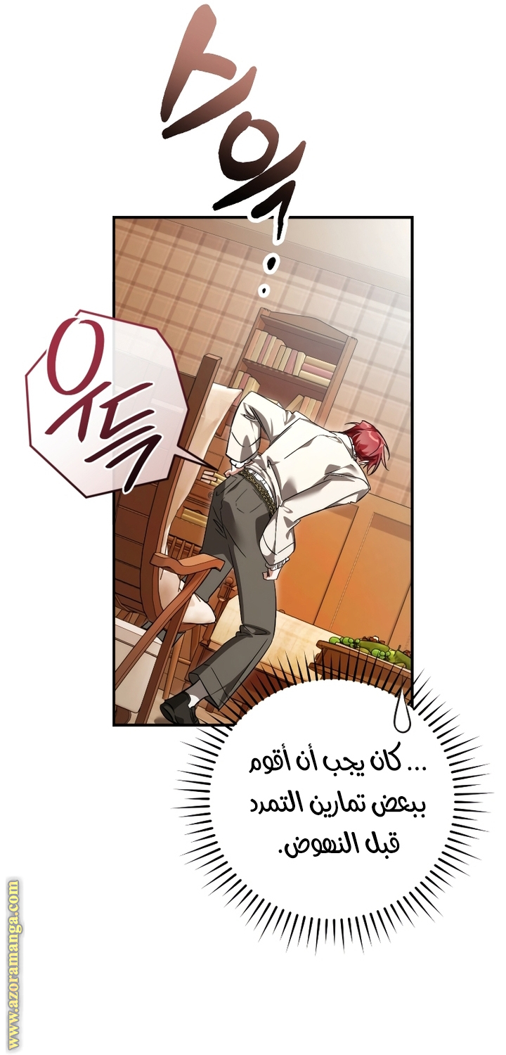 الصفحة 17