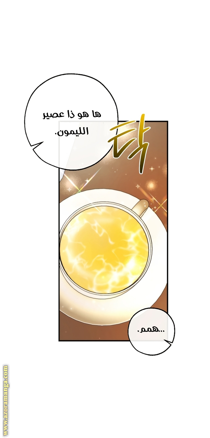 الصفحة 23