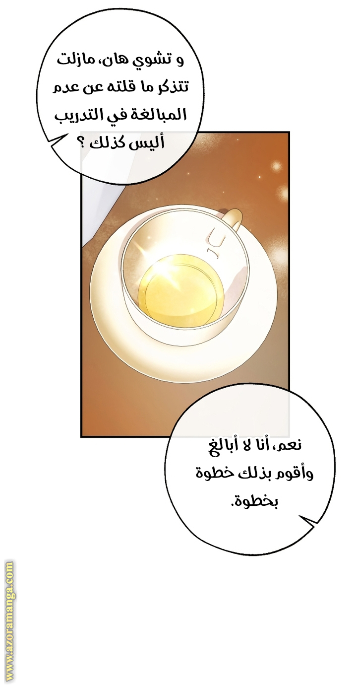 الصفحة 29