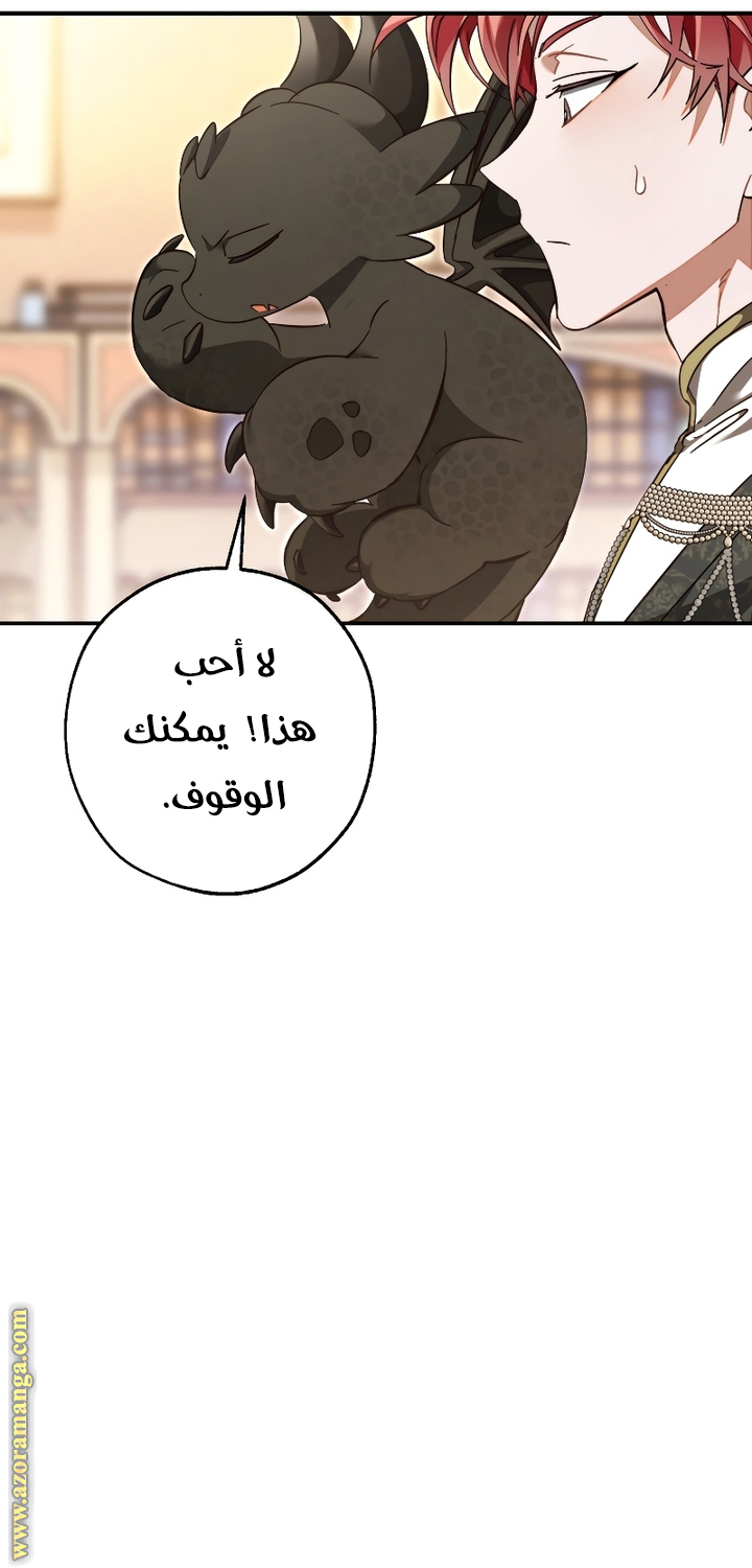 الصفحة 14