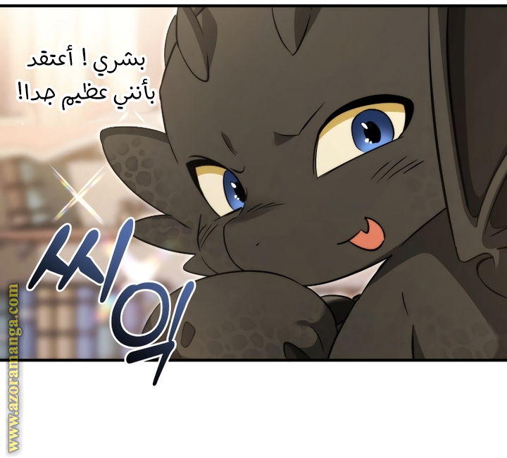 الصفحة 17