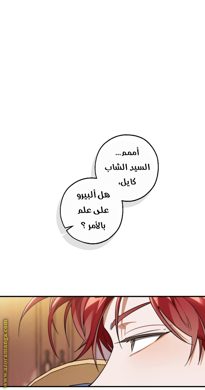 الصفحة 27