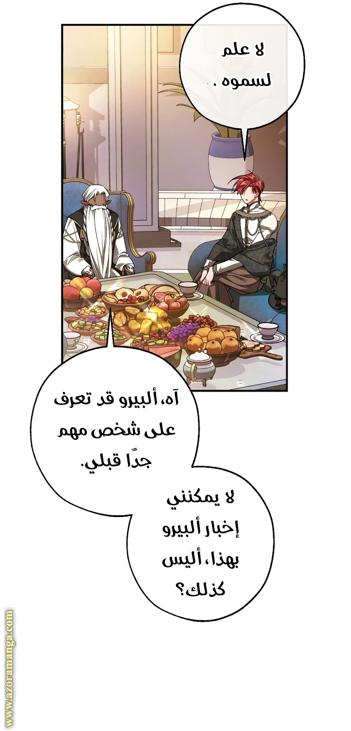 الصفحة 29