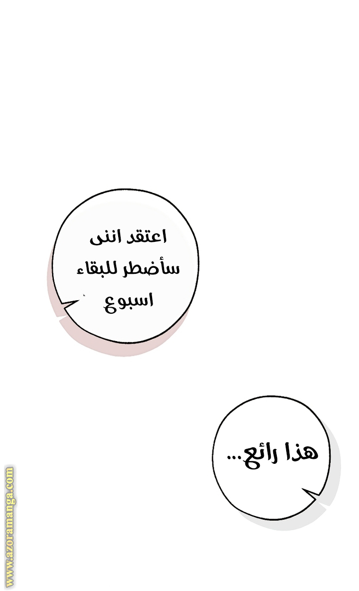 الصفحة 46