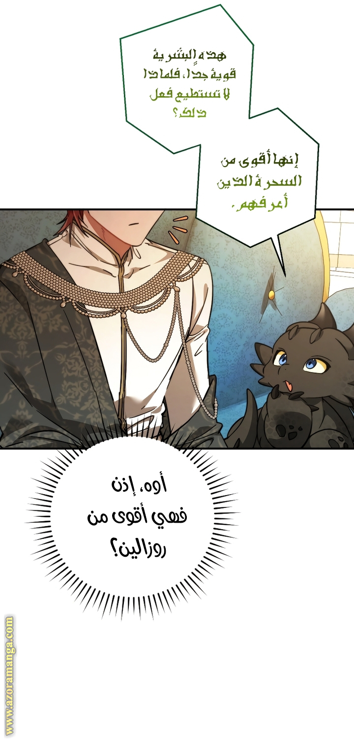 الصفحة 62