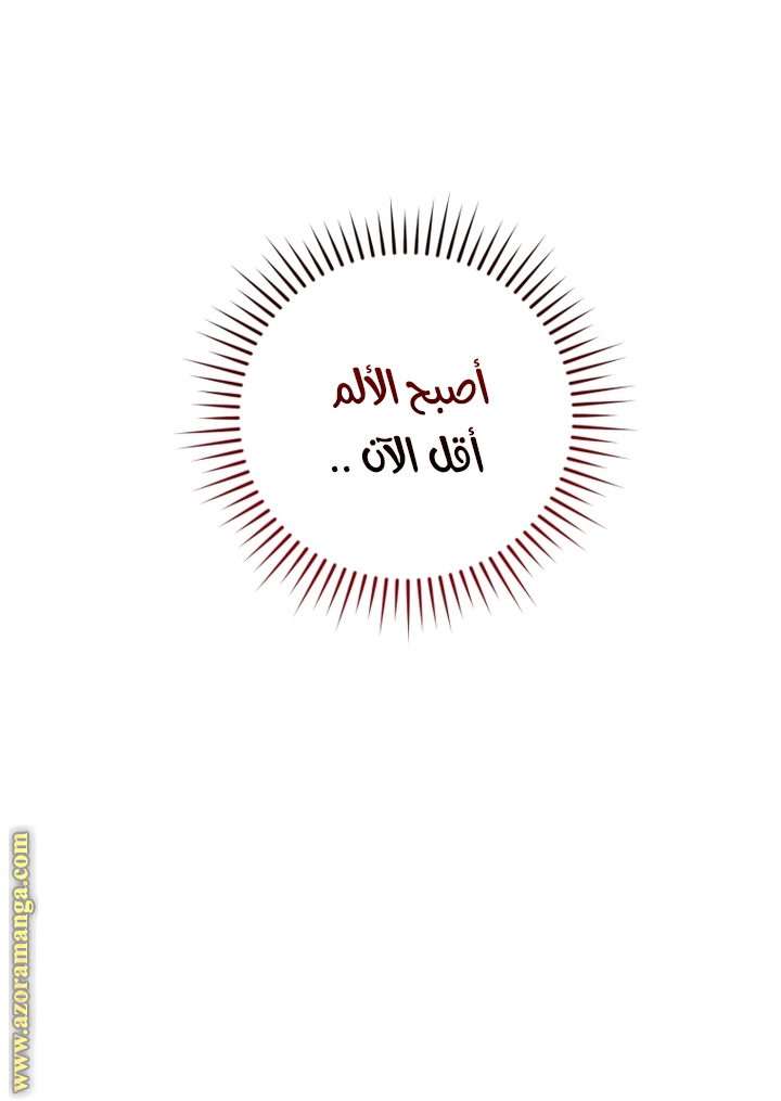 الصفحة 20