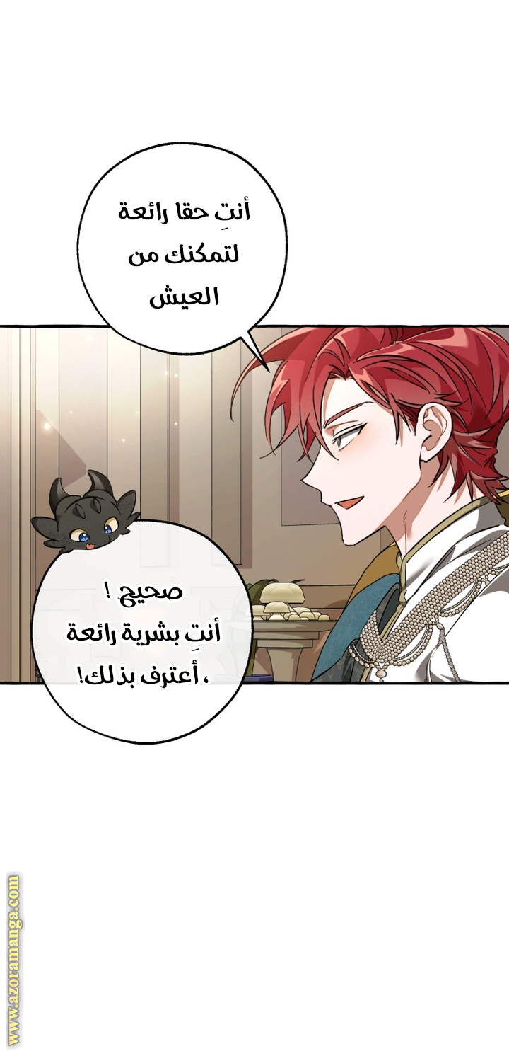 الصفحة 31
