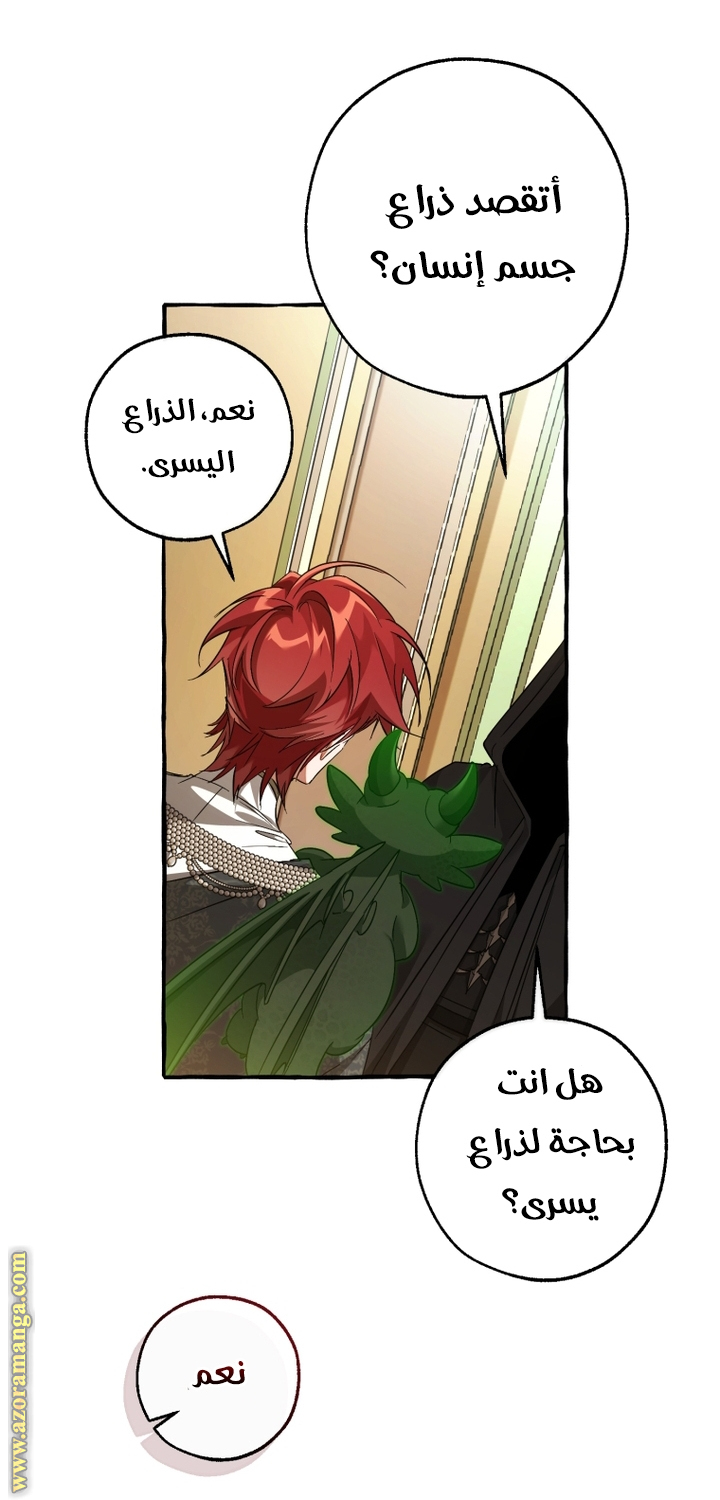 الصفحة 46