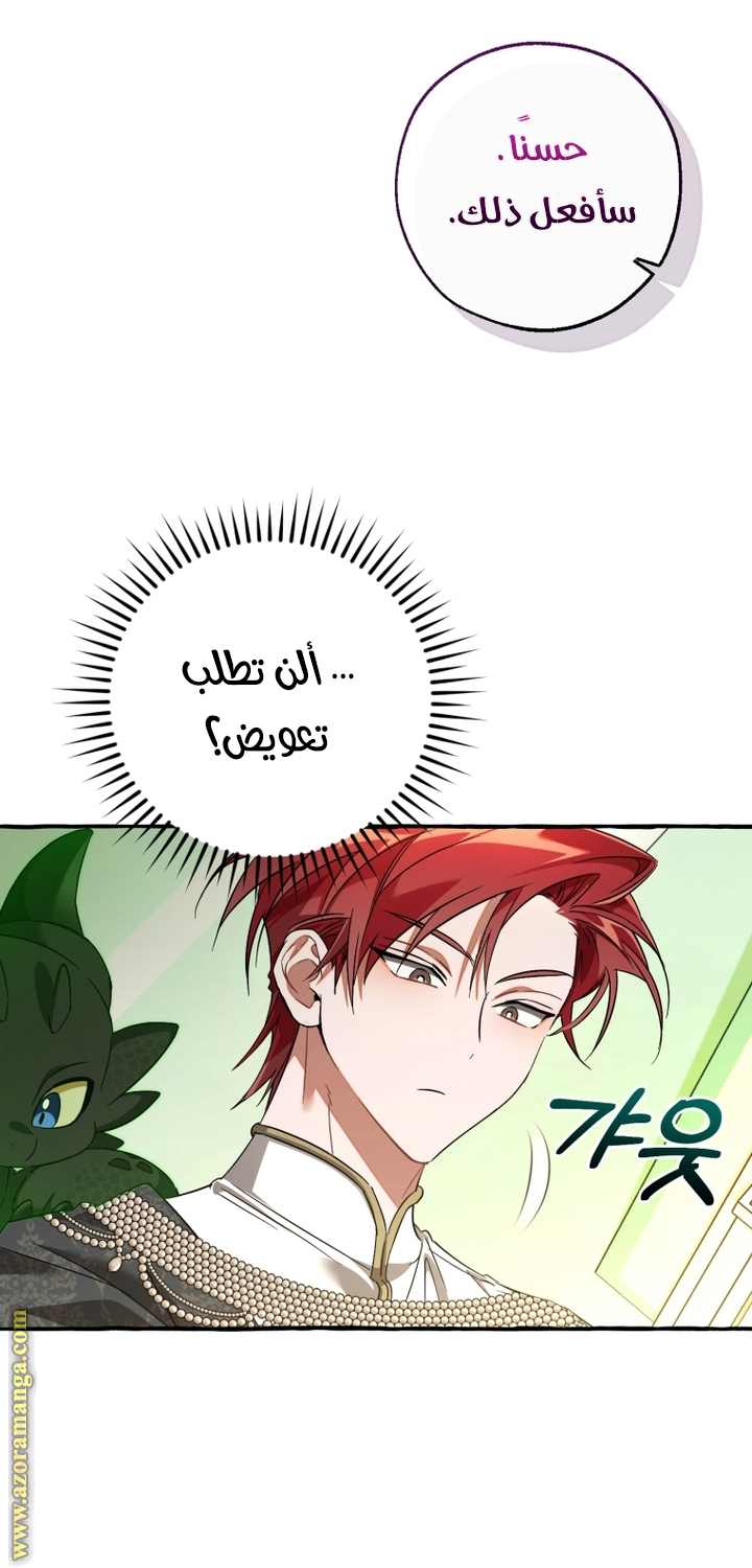 الصفحة 47
