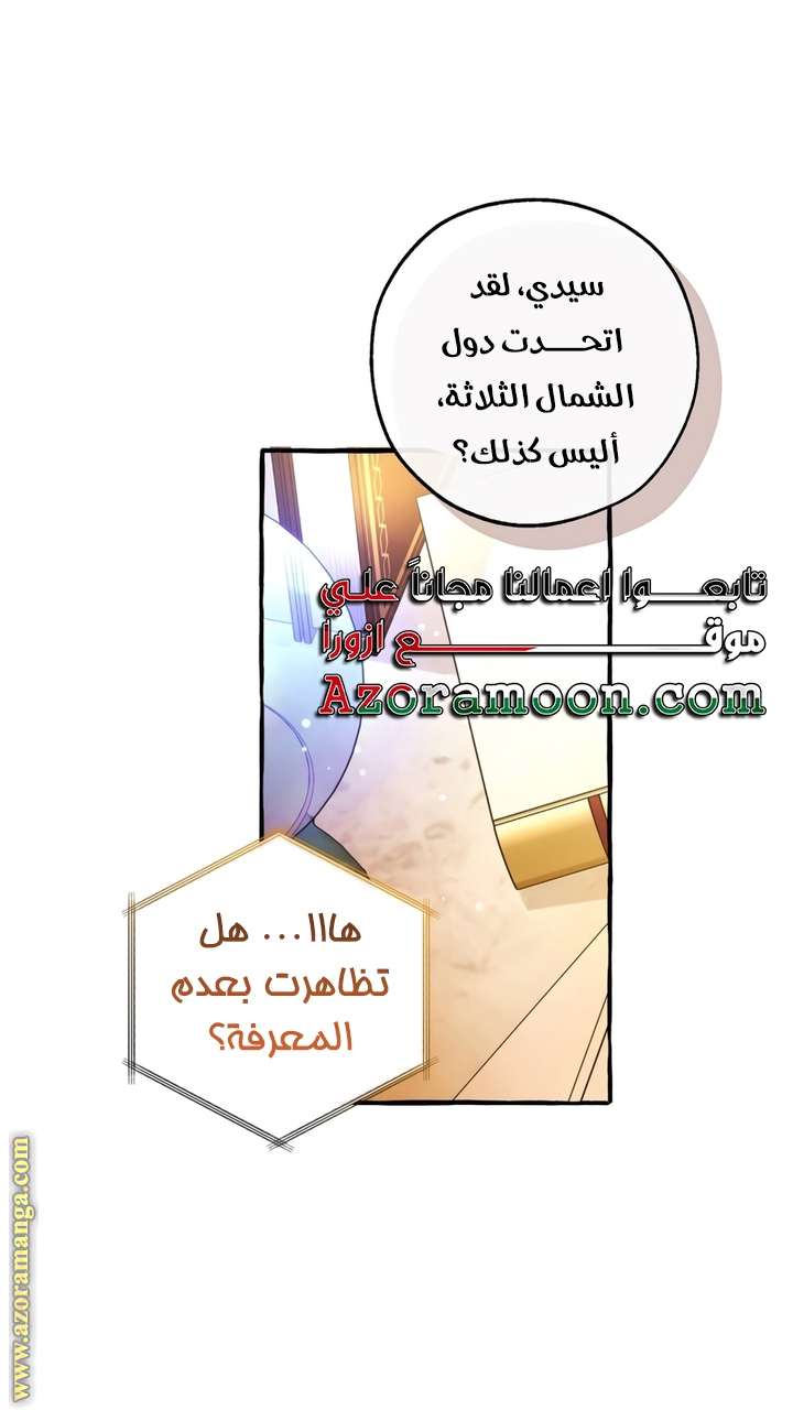 الصفحة 19