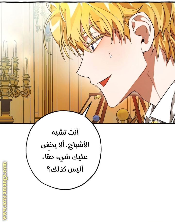 الصفحة 24