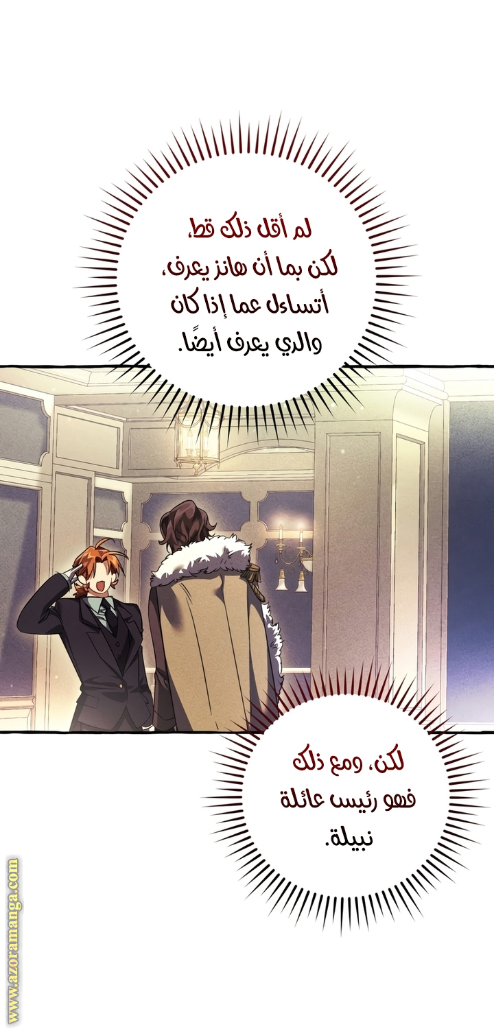 الصفحة 29