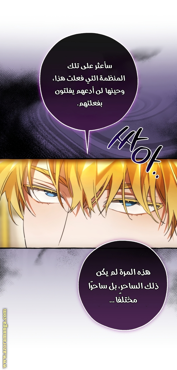 الصفحة 39