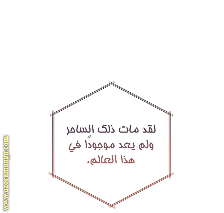الصفحة 41