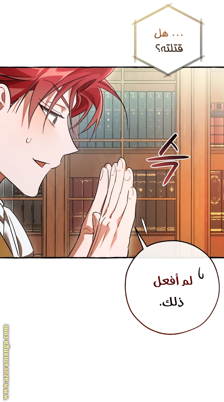 الصفحة 43