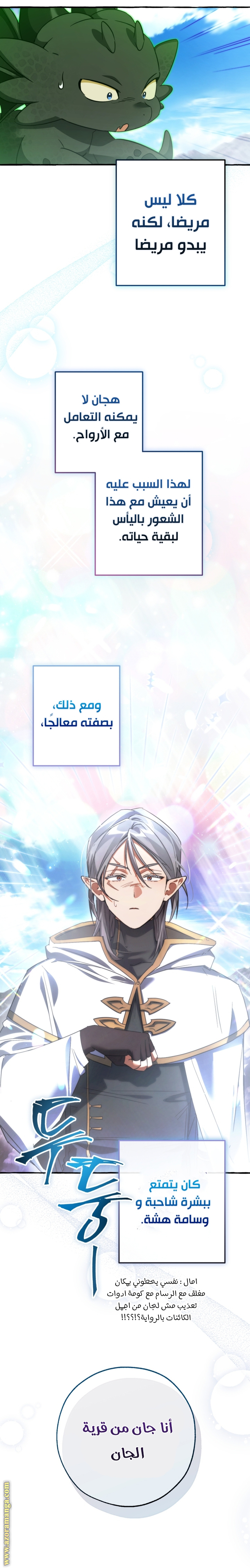 الصفحة 17