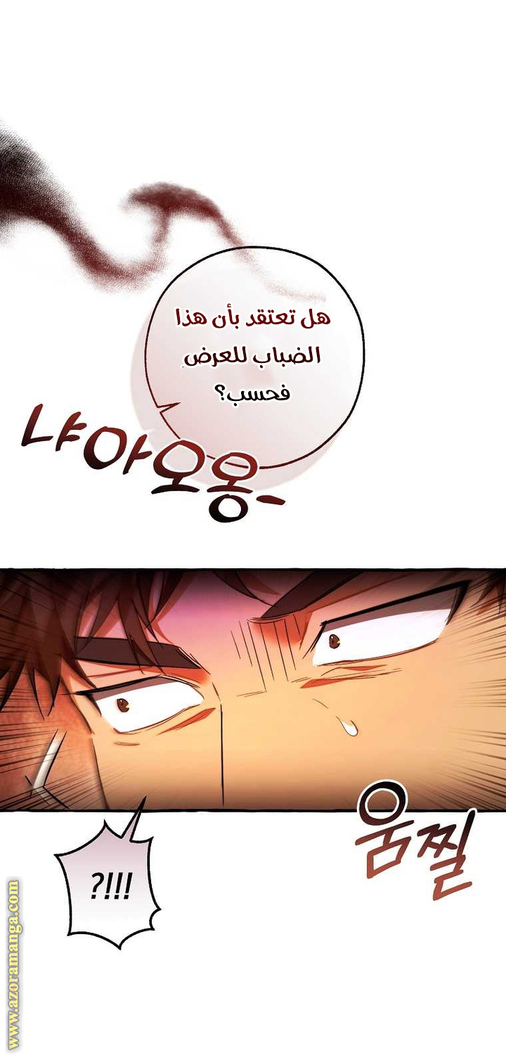 الصفحة 19
