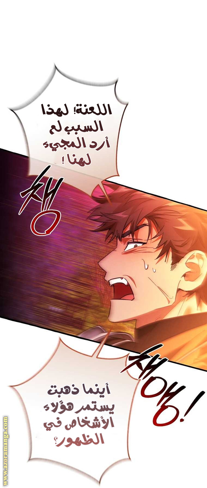 الصفحة 24