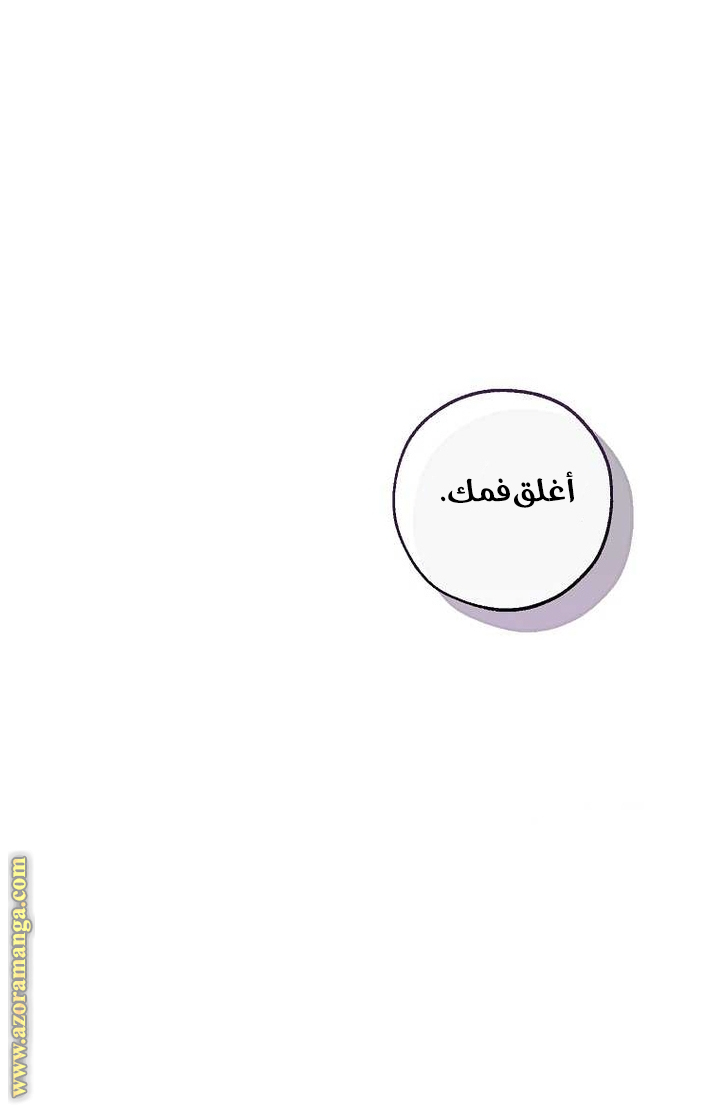 الصفحة 25