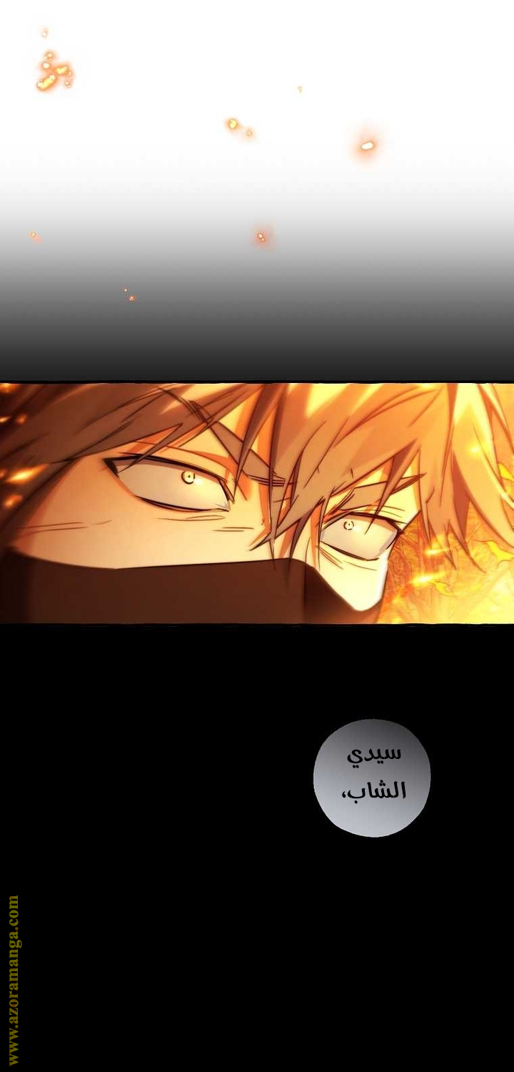 الصفحة 29