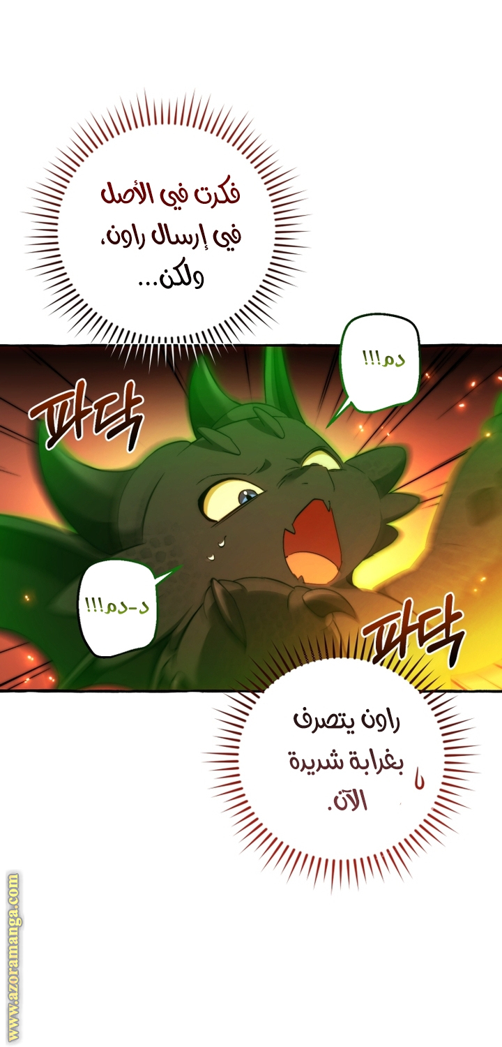 الصفحة 24