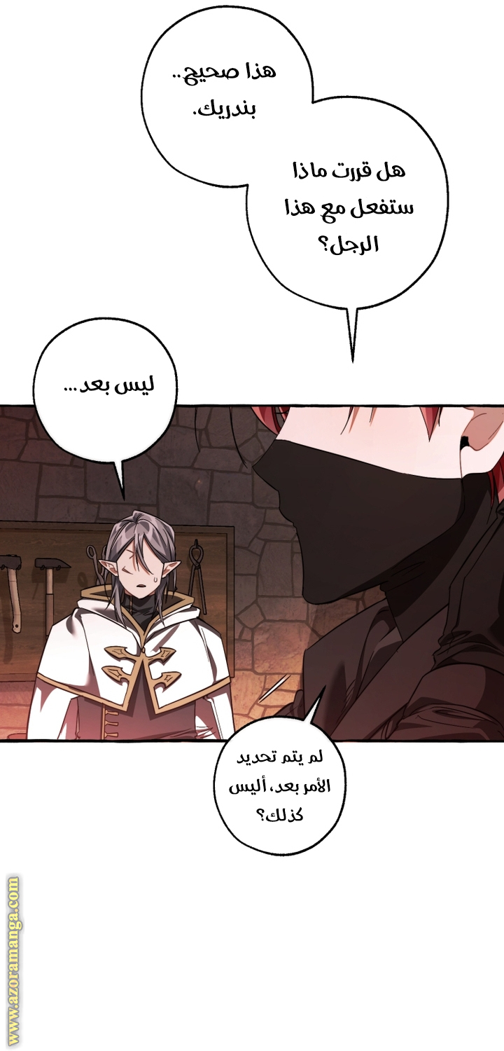 الصفحة 25