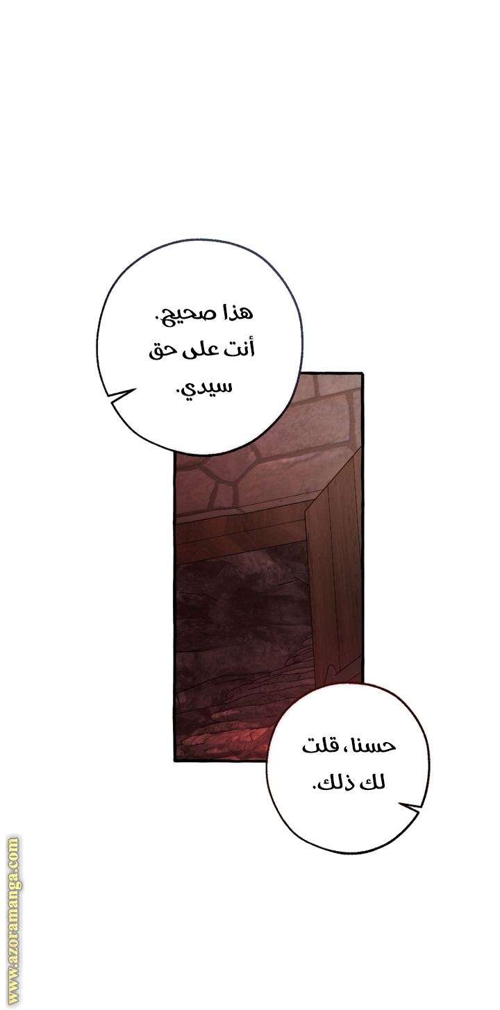 الصفحة 41