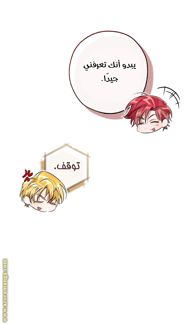 الصفحة 45