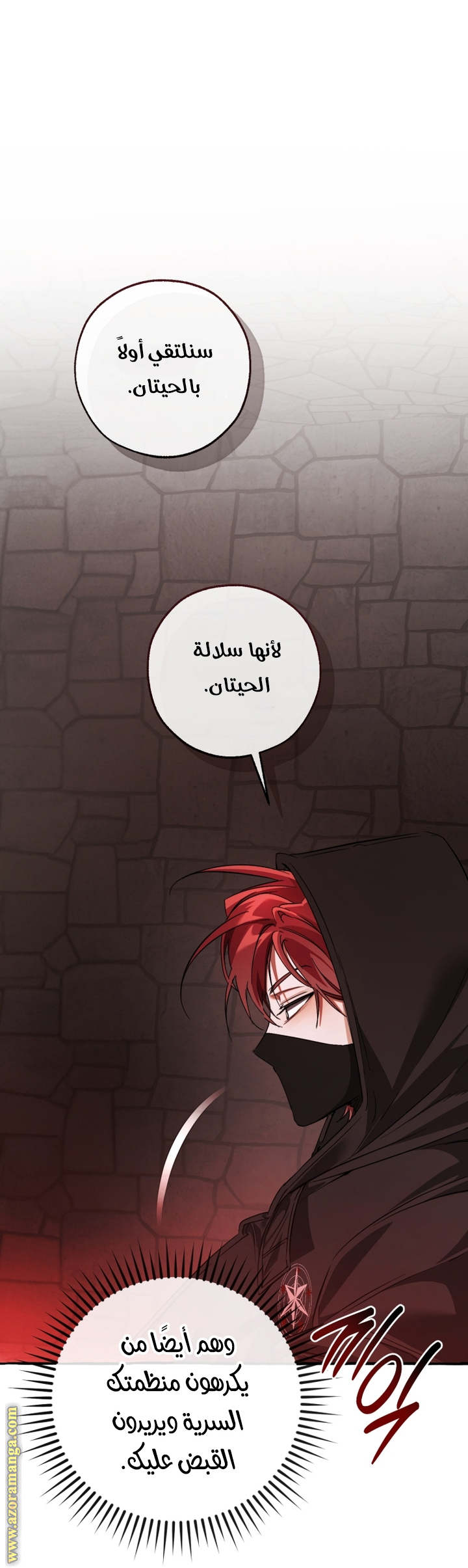 الصفحة 11