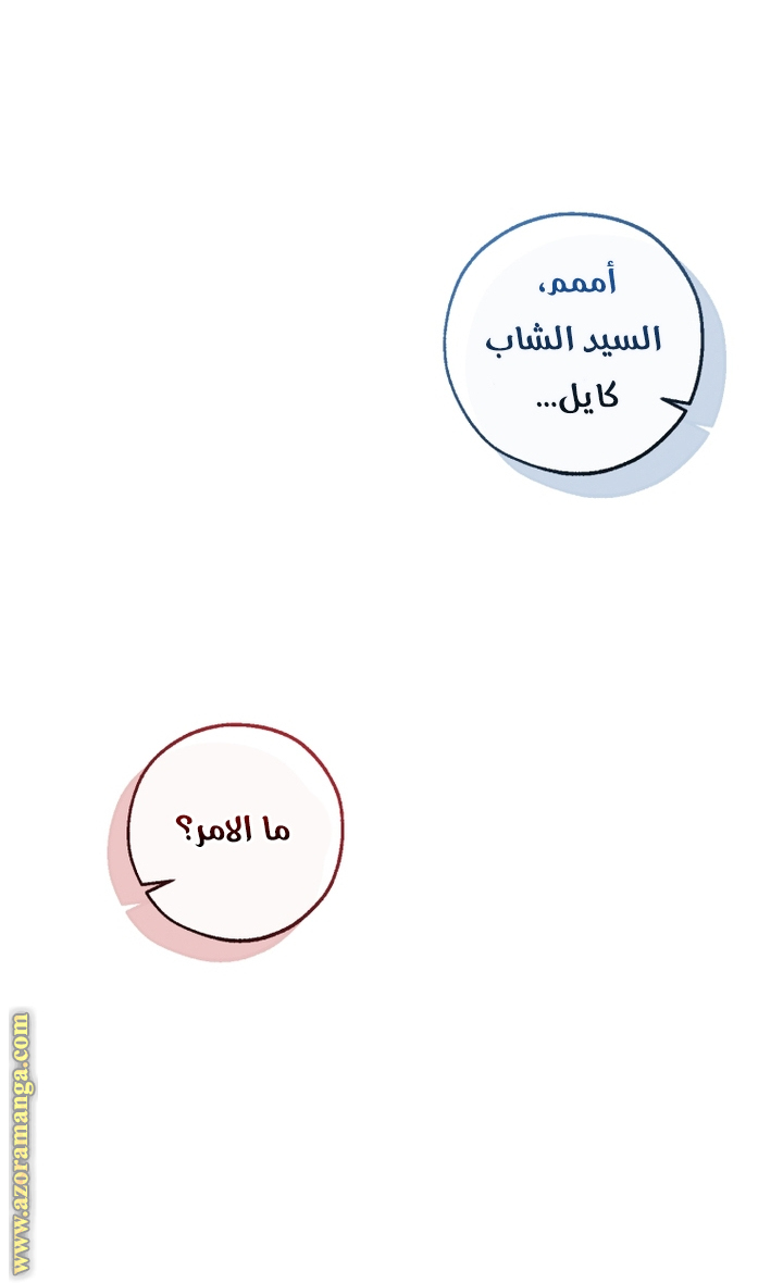 الصفحة 39
