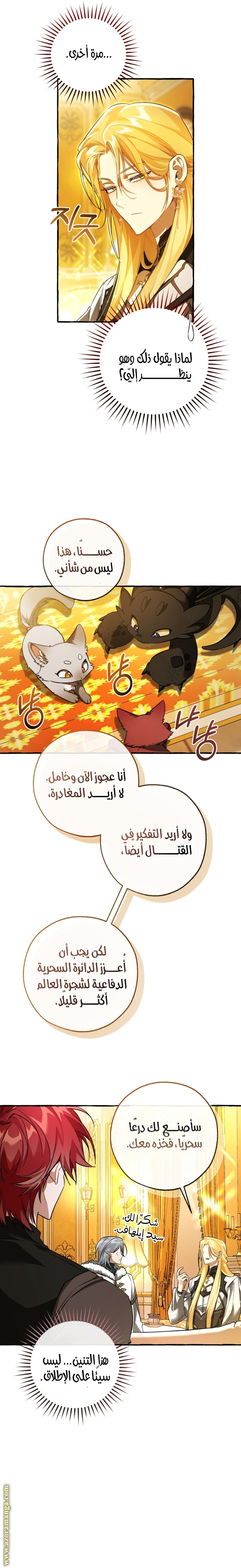 الصفحة 21