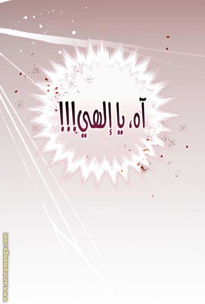 الصفحة 45