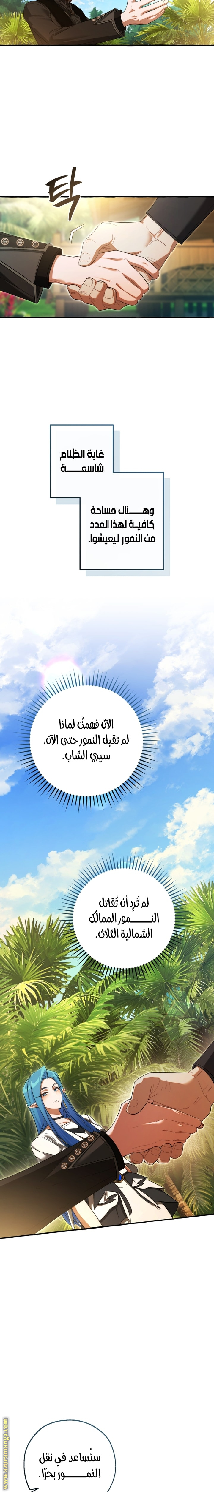 الصفحة 17