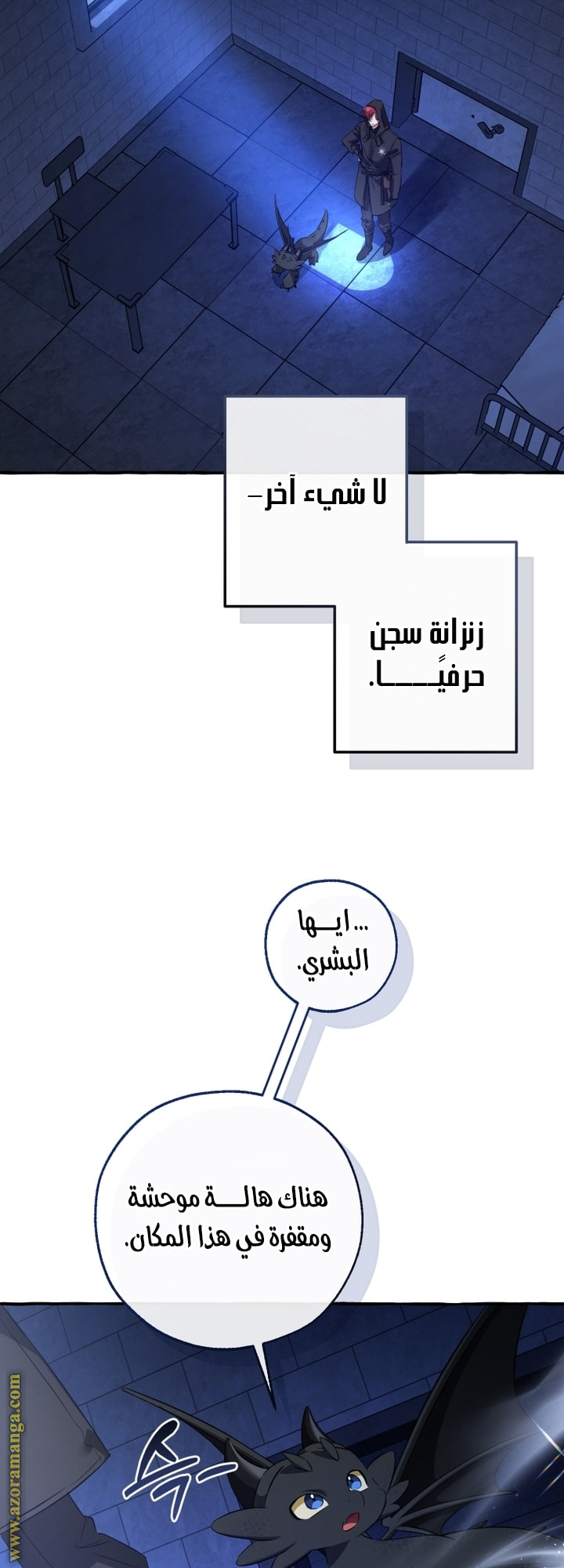 الصفحة 13