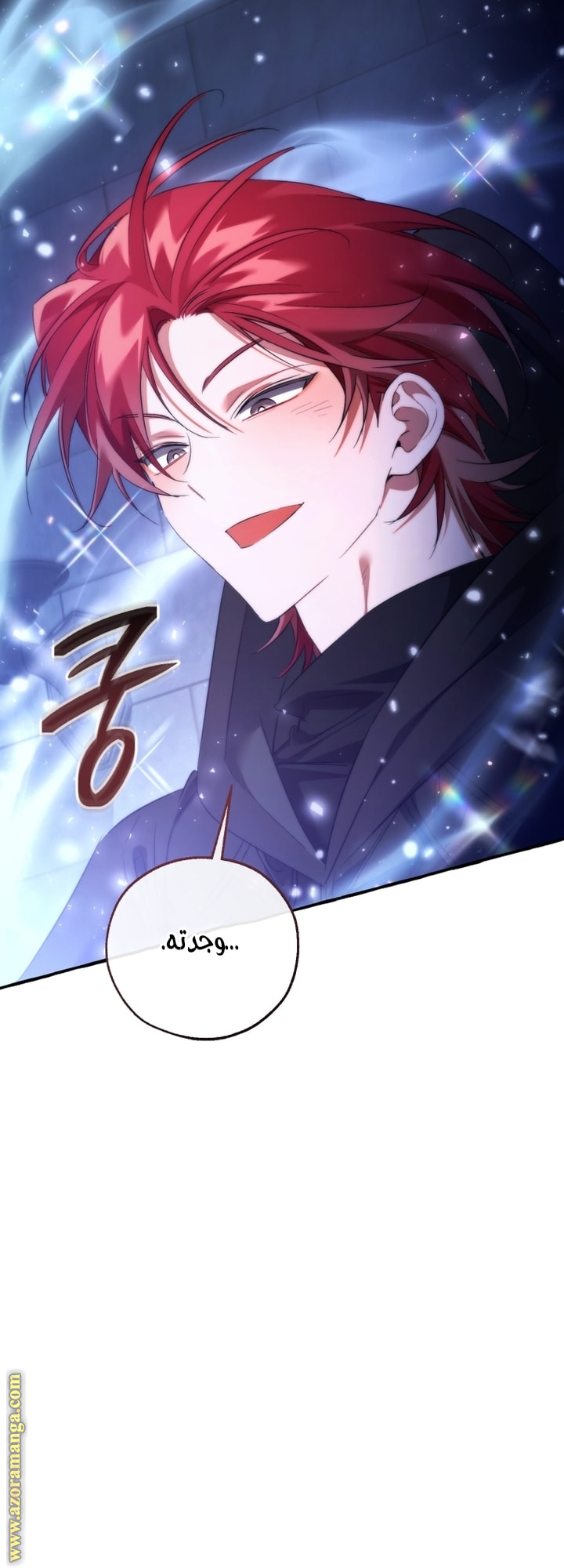 الصفحة 17