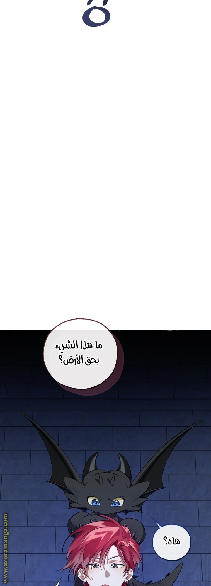 الصفحة 20