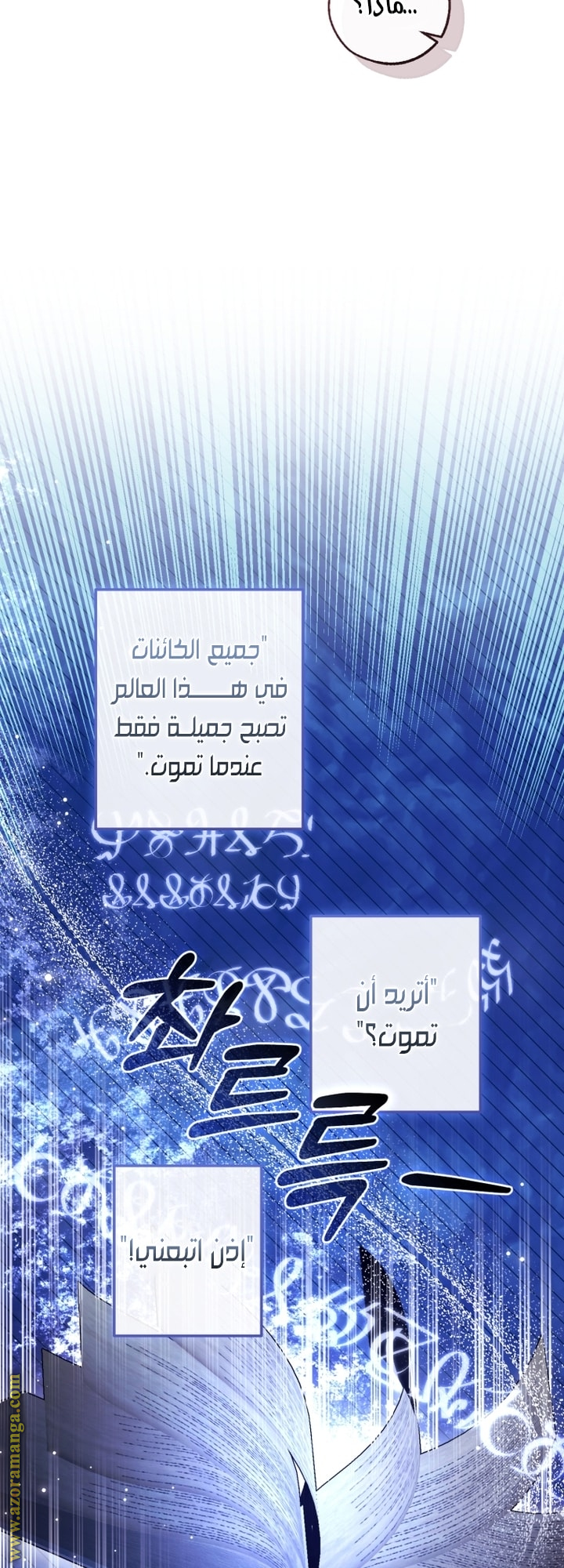 الصفحة 27