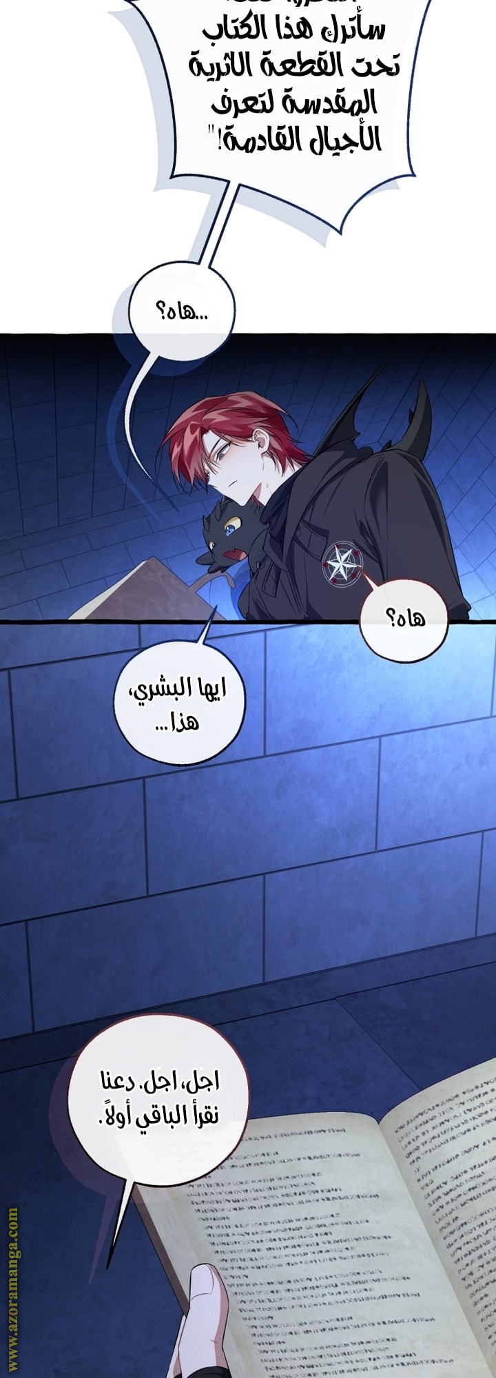 الصفحة 38