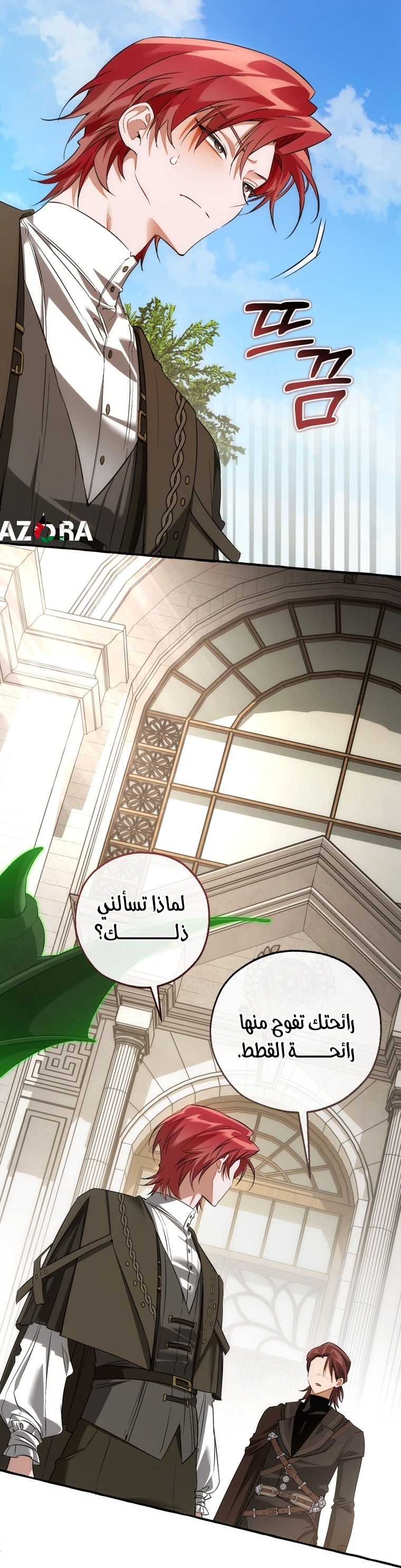 الصفحة 14