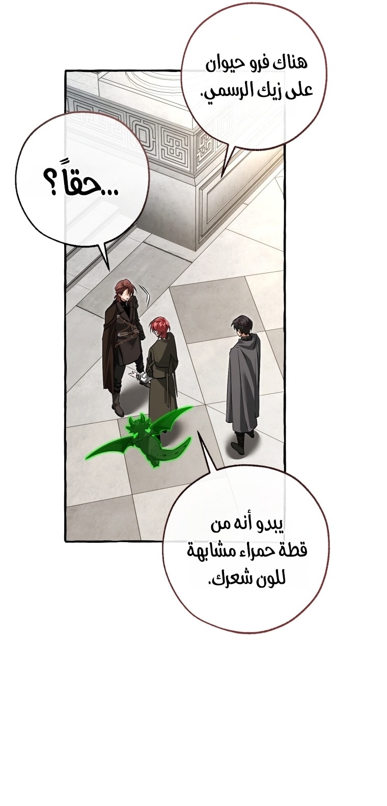 الصفحة 17