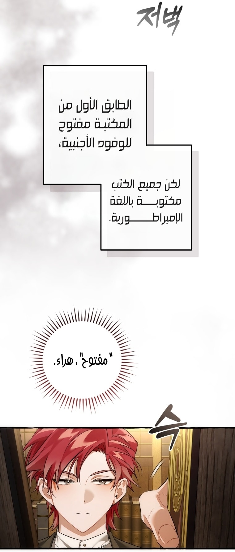 الصفحة 26