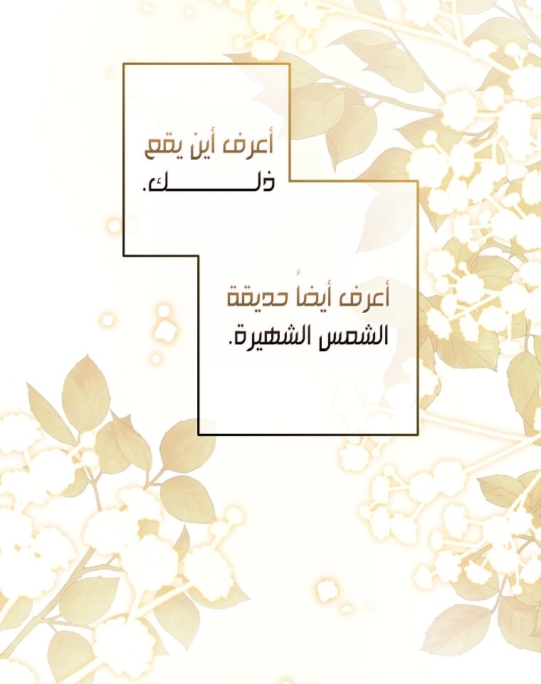 الصفحة 31
