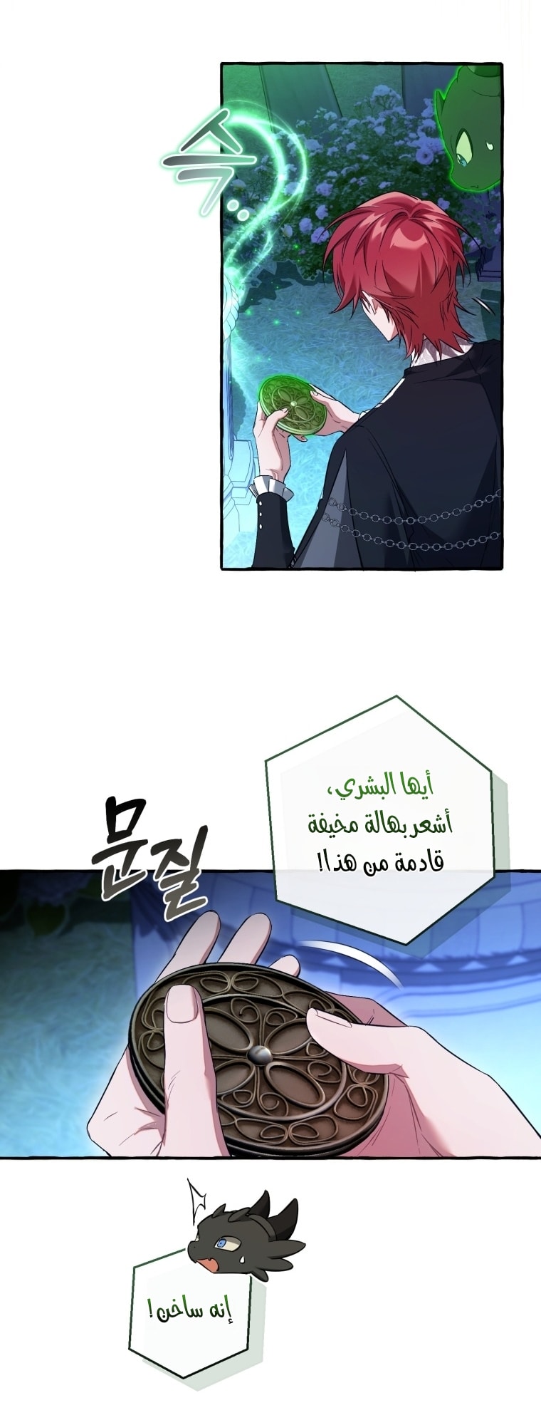 الصفحة 11